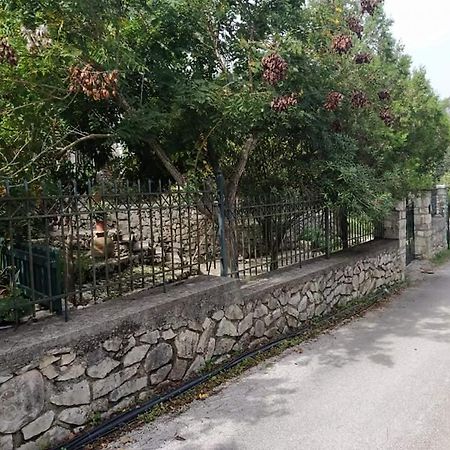 OziásCasa Natasa公寓 外观 照片